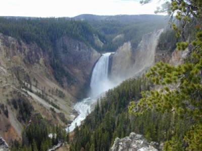 Gran Cañón - Yellowstone Park