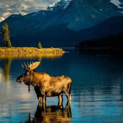 Alaska - USA