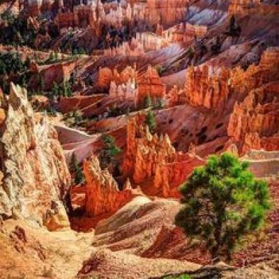 Bryce Canyon - USA