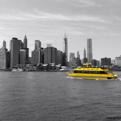 Manhattan View