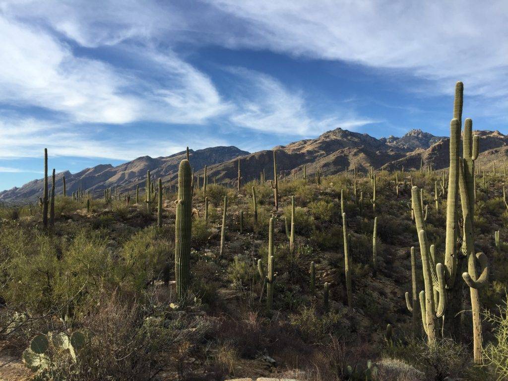 Parque Nacional